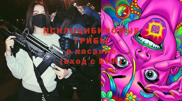 прущий лед Белокуриха