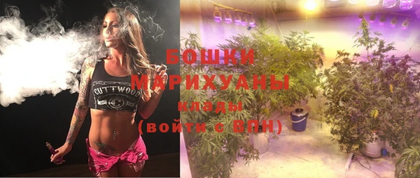 прущий лед Белокуриха
